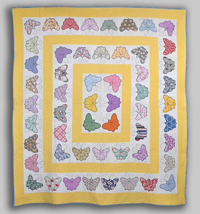 Unusual Appliqued Butterfly Quilt